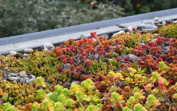 the cost of Allensmore green roof installation