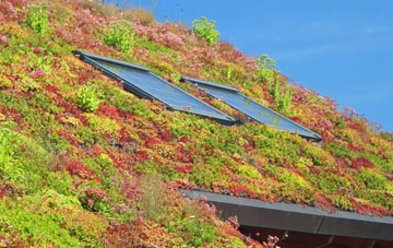 Allensmore living roof systems